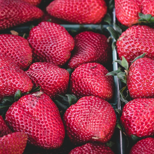 Alimentos y Bebidas