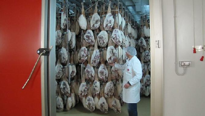 Cámaras de alimentación industrial
