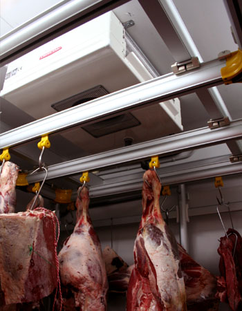 Frío industrial alimentación