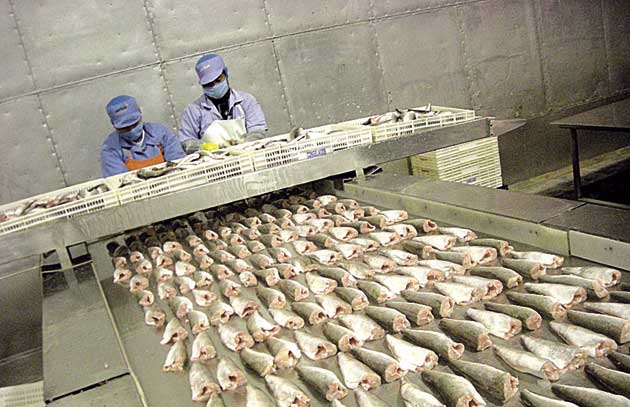 Empresas de frío industrial