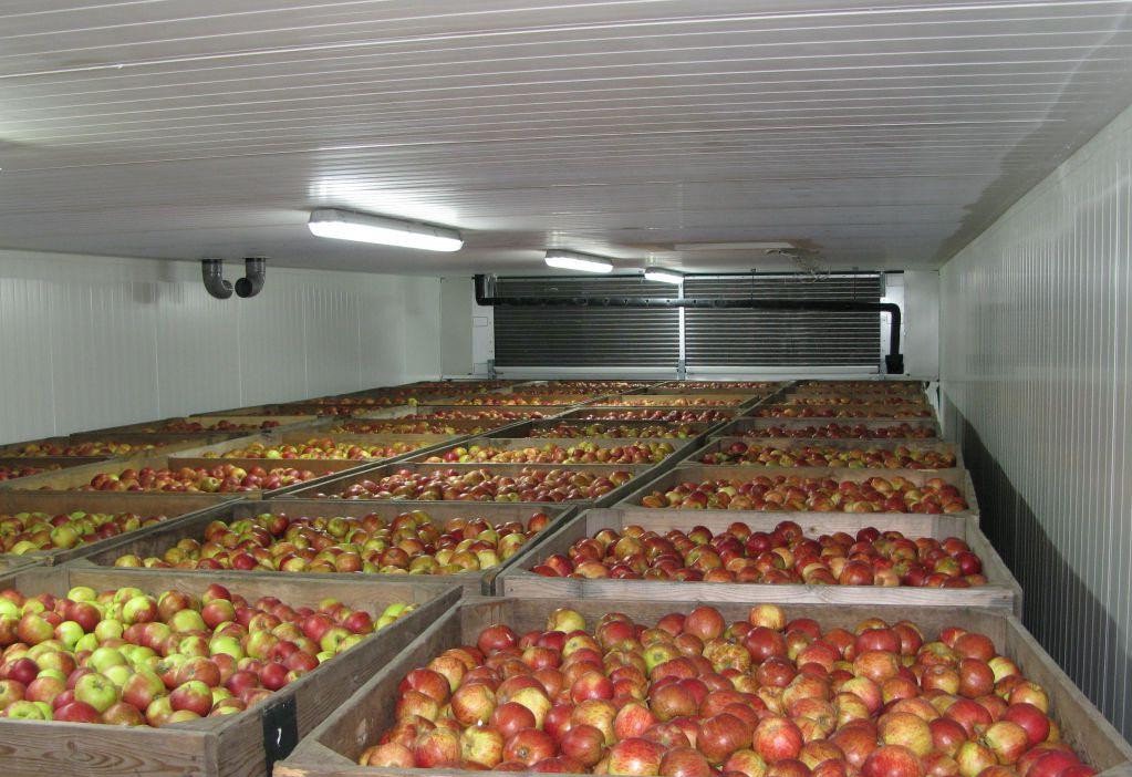 Cámaras de refrigeración para frutas