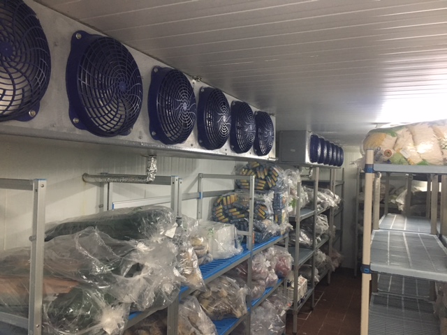 Cámara de congelación. Refrigeración en la conservación de alimentos