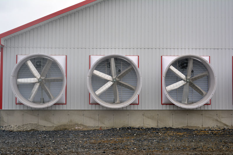 Climatización de edificios ganaderos